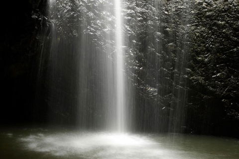 Natural Bridge Glow Worm Night Tour From Gold Coast - Accommodation NSW 1