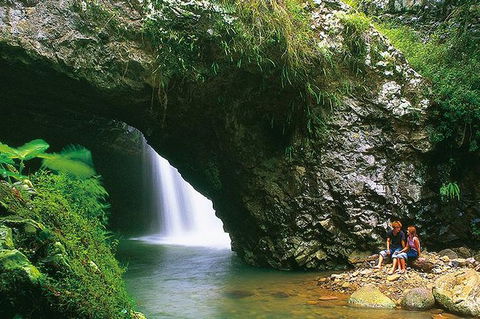 Natural Bridge Glow Worm Night Tour From Gold Coast - Accommodation NSW 7