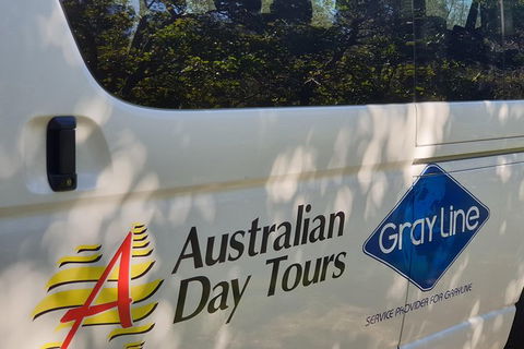 Natural Bridge Glow Worm Night Tour From Gold Coast - Accommodation NSW 9