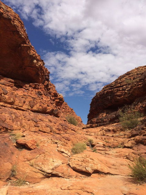 Kings Canyon Day Trip From Ayers Rock - Accommodation NSW 25