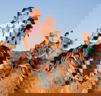 Alice Springs Camel Tour - Accommodation NSW