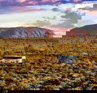 Alice Springs to Uluru Ayers Rock One Way Shuttle - Accommodation NSW