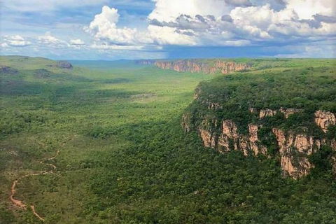 Kakadu & Katherine Gorge Full Day Air Tour, Helicopter & Cruise - Accommodation NSW 4