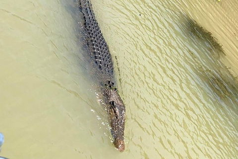 Kakadu & Katherine Gorge Full Day Air Tour, Helicopter & Cruise - Accommodation NSW 6