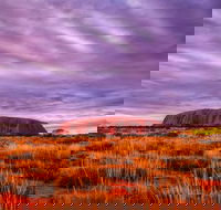 4-Day Camping Trip from Ayers Rock Including Uluru Kata Tjuta and Kings Canyon - Accommodation NSW