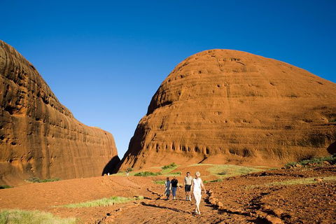 Afternoon Kata Tjuta Small Group Tour - Accommodation NSW 0