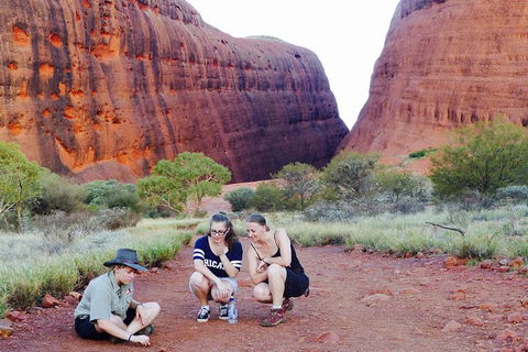Afternoon Kata Tjuta Small Group Tour - Accommodation NSW 7