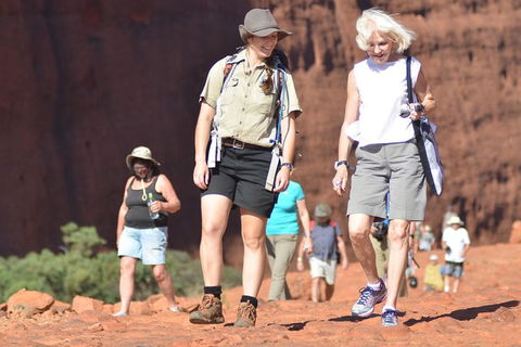Afternoon Kata Tjuta Small Group Tour - Accommodation NSW 8