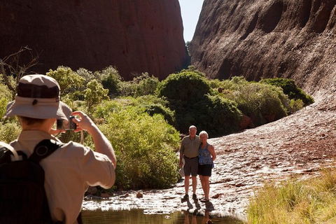 Afternoon Kata Tjuta Small Group Tour - Accommodation NSW 6