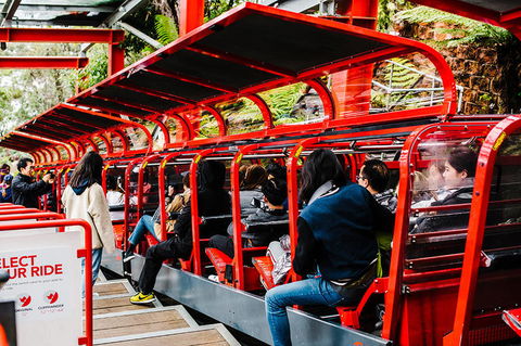 All-Inclusive Blue Mountains Day Trip With River Cruise - Accommodation NSW 7