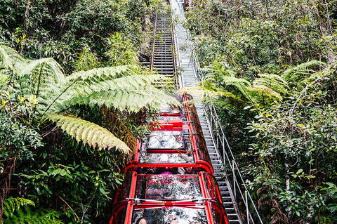 All-Inclusive Blue Mountains Day Trip With River Cruise - Accommodation NSW 6