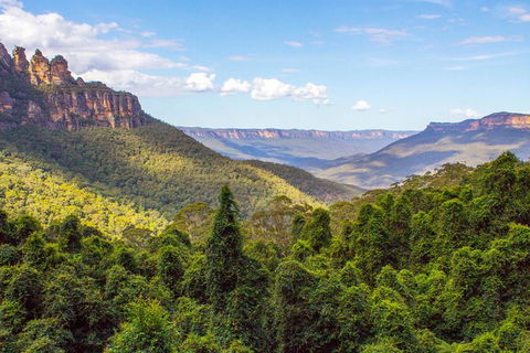 All-Inclusive Blue Mountains Day Trip With River Cruise - Accommodation NSW 28