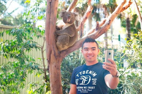 All Inclusive Full-Day Blue Mountains Trip From Sydney - Accommodation NSW 1