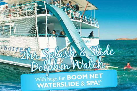 Port Stephens Dolphin Watching Cruise Including Splash And Slide - Accommodation NSW 0