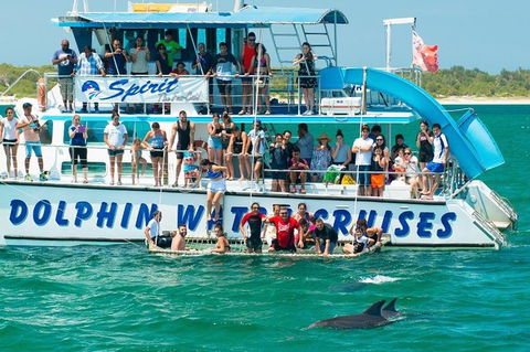 Port Stephens Dolphin Watching Cruise Including Splash And Slide - Accommodation NSW 1
