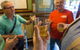 Private Sydney: 2-5 Hour History Walking Pub Tour - thumb 1