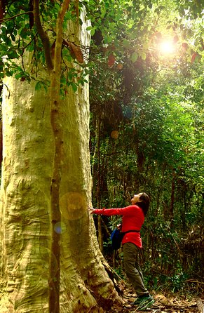 3 Day Murramarang Coast Journey From Batemans Bay With Meals And Villa Accom - Accommodation NSW 4