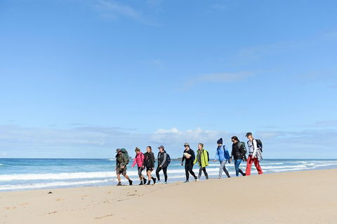3 Day Murramarang Coast Journey From Batemans Bay With Meals And Villa Accom - Accommodation NSW 7