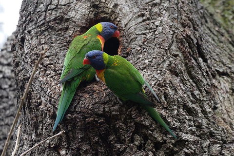 Private Blue Mountains Insider Tour From Sydney - Accommodation NSW 8