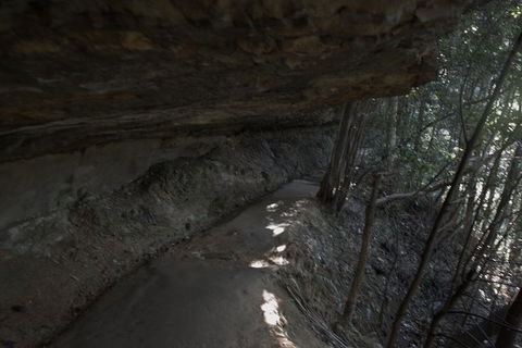 Private Blue Mountains Insider Tour From Sydney - Accommodation NSW 25
