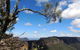 Blue Mountains Small-Group Insider Tour From Sydney - thumb 1