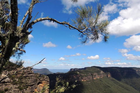 Blue Mountains Small-Group Insider Tour From Sydney - Accommodation NSW 15