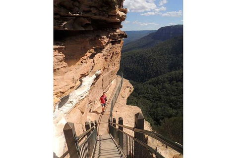 Blue Mountains Small-Group Insider Tour From Sydney - Accommodation NSW 13
