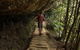 Blue Mountains Small-Group Insider Tour From Sydney - thumb 16