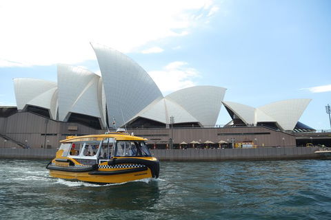Private Sydney Harbour Cruise With Yellow Water Taxis - Accommodation NSW 0