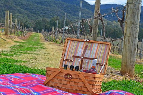 Private Hunter Valley And Gardens Day Trip From Sydney - Accommodation NSW 0