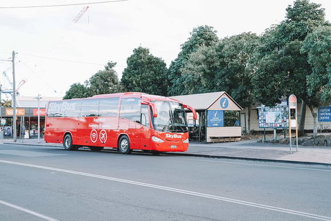SkyBus Byron Bay Express - Accommodation NSW 1