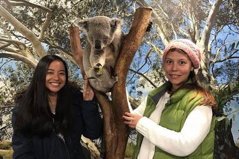Australia Multi-City Attractions Pass - Accommodation NSW 2