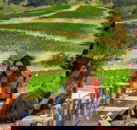 Private Luxury Tour Hunter Valley Wineries with Cheese Chocolate Gourmet Food - Accommodation NSW