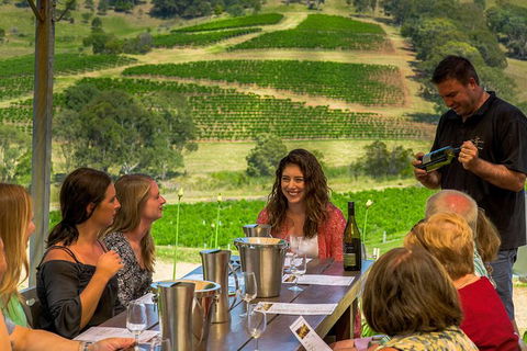 Private Luxury Tour: Hunter Valley Wineries With Cheese, Chocolate, Gourmet Food - Accommodation NSW 0