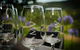 Private Luxury Tour: Hunter Valley Wineries With Cheese, Chocolate, Gourmet Food - thumb 9