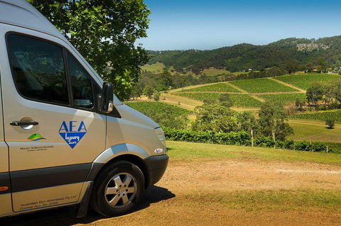 Private Luxury Tour: Hunter Valley Wineries With Cheese, Chocolate, Gourmet Food - Accommodation NSW 4