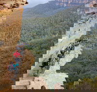 Hike into the Wild Blue Mountains - Accommodation NSW