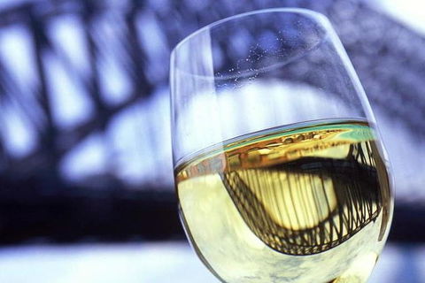 Water Limousines Sparking Wine Sunset Cruise Sydney Harbour - Accommodation NSW 0
