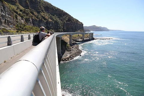 Private Sydney South Coast To The Southern Highlands Tour - Accommodation NSW 2