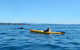 Whale Watching By Sea Kayak In Batemans Bay - thumb 2