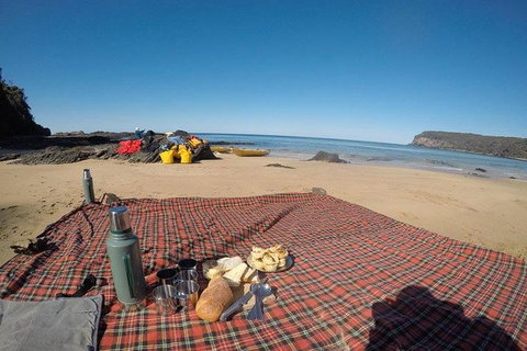 Whale Watching By Sea Kayak In Batemans Bay - Accommodation NSW 6