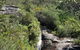 Blue Mountains Wildlife Full-Day Sights And Hiking From Sydney - thumb 3