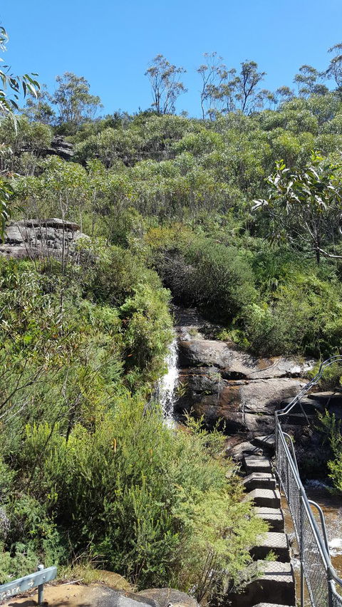 Blue Mountains Wildlife Full-Day Sights And Hiking From Sydney - Accommodation NSW 3