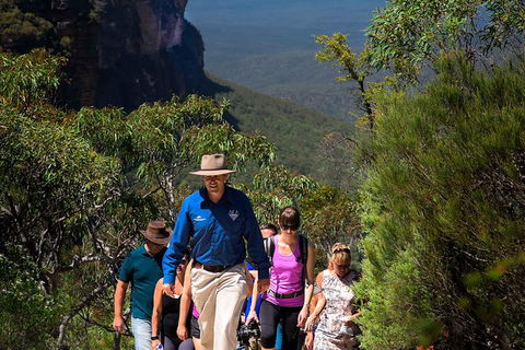 Blue Mountains Wildlife Full-Day Sights And Hiking From Sydney - Accommodation NSW 0