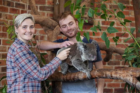 Private Tour: Blue Mountains Day Trip From Sydney - Accommodation NSW 1