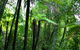Private Tour: Blue Mountains Day Trip From Sydney - thumb 3
