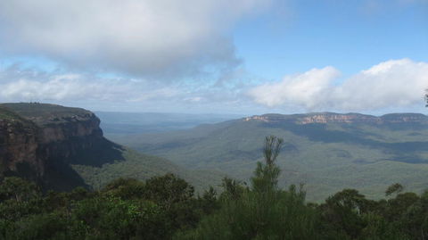 Blue Mountains Deluxe Small-Group Eco Wildlife Tour From Sydney - Accommodation NSW 10