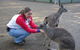 Blue Mountains Deluxe Small-Group Eco Wildlife Tour From Sydney - thumb 5