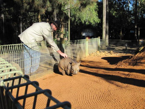 Blue Mountains Deluxe Small-Group Eco Wildlife Tour From Sydney - Accommodation NSW 18
