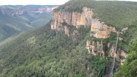 Blue Mountains Deluxe Small-Group Eco Wildlife Tour From Sydney - Accommodation NSW 9
